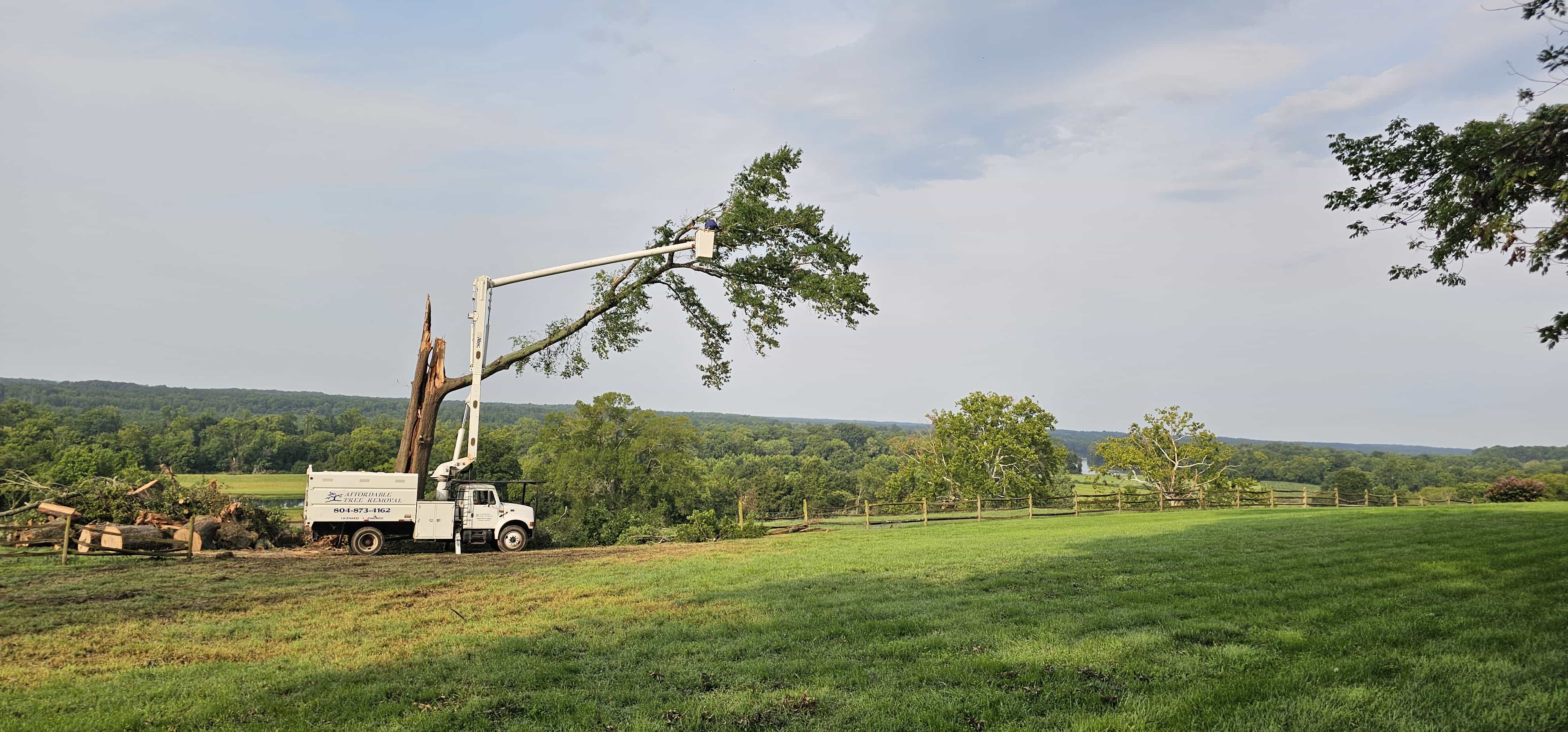 Affordable Tree Removal bucket truck working on a tree across a Goochland property